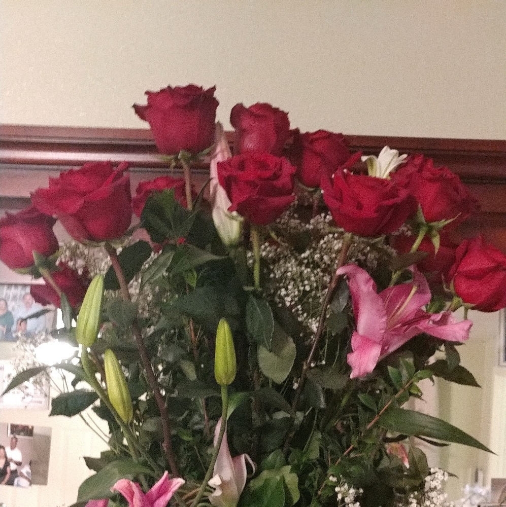 Meet your Posher, Basilia